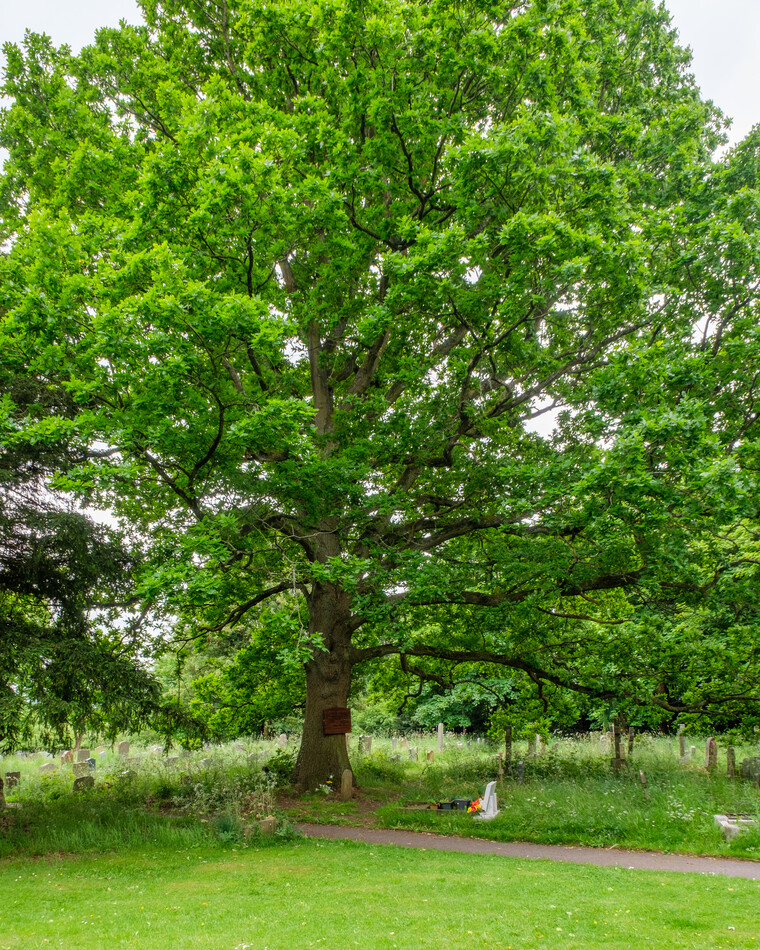 UK May '22 - Deference (Nick Drake) 004.jpg